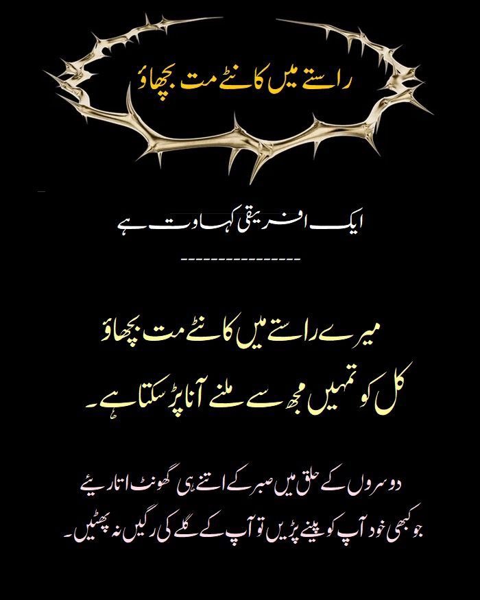 سعدیہ ملک tweet media