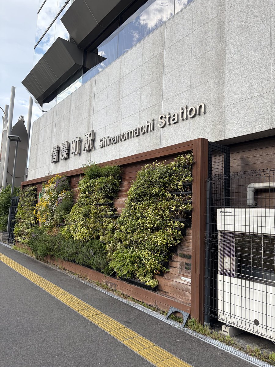 ノヶﾄﾞ tweet media