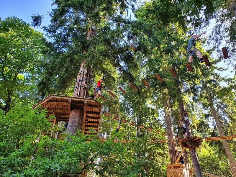 fizzyfizzytwiz's tweet image. Ok kids time for me to holiday! 
I’ll be back in about a week. 
But I’ll be posting pics of my trip. 
In the meantime here’s a few of a clue 
Laterz ;) 

#photos Google