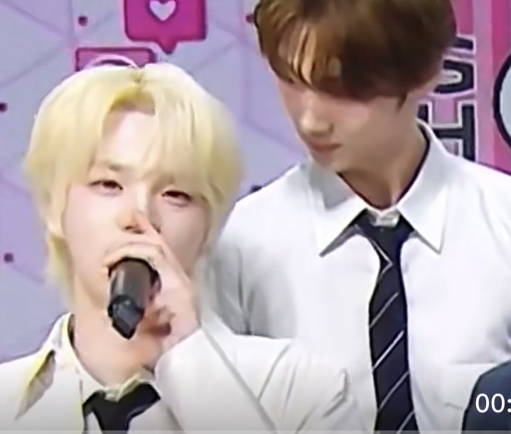 GuineaPig love🐽🐹 tweet media