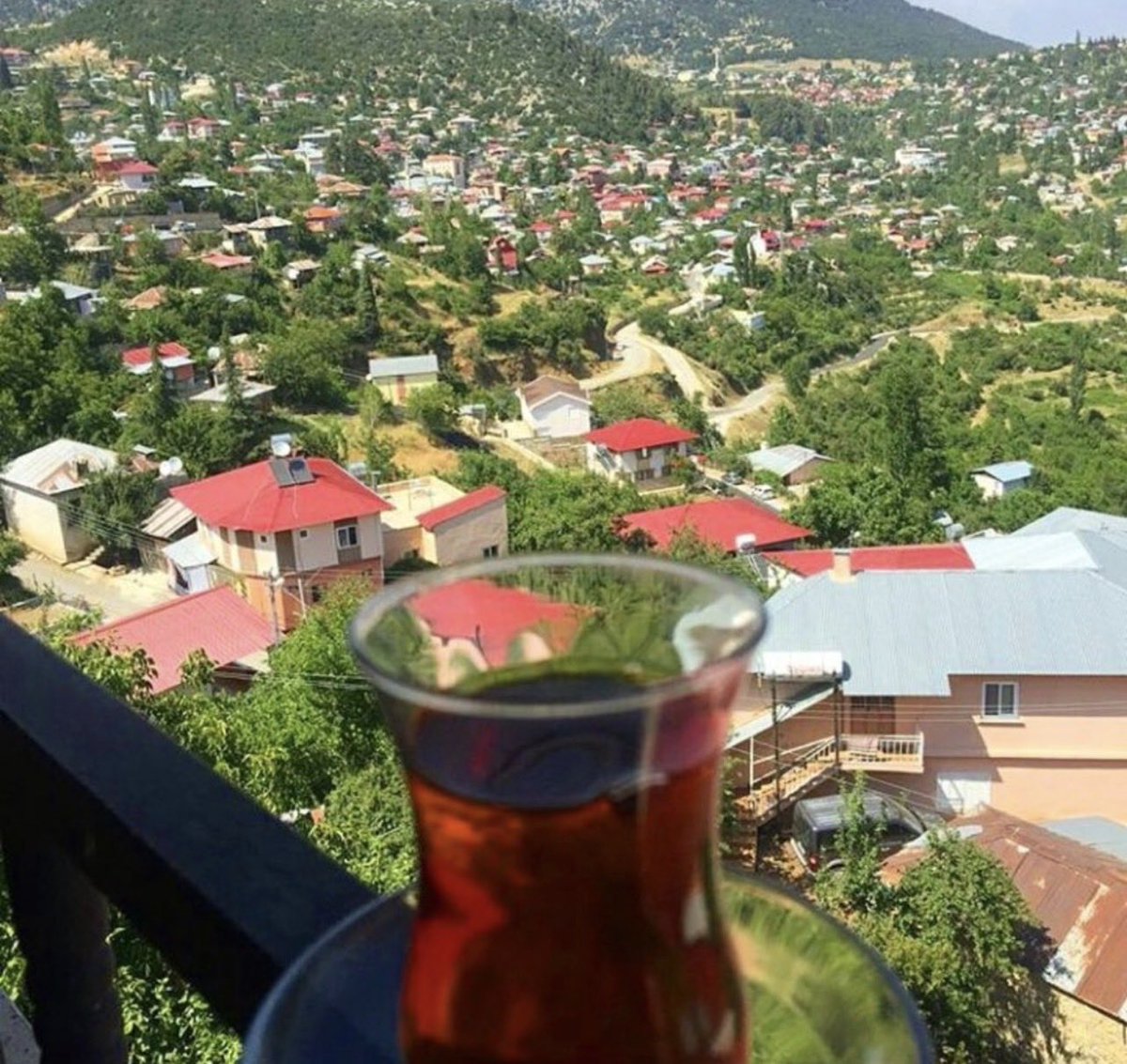 Mimariçe tweet media