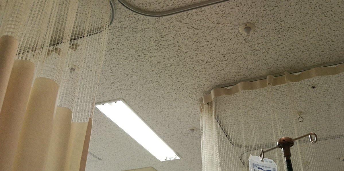 まろ無地 tweet media