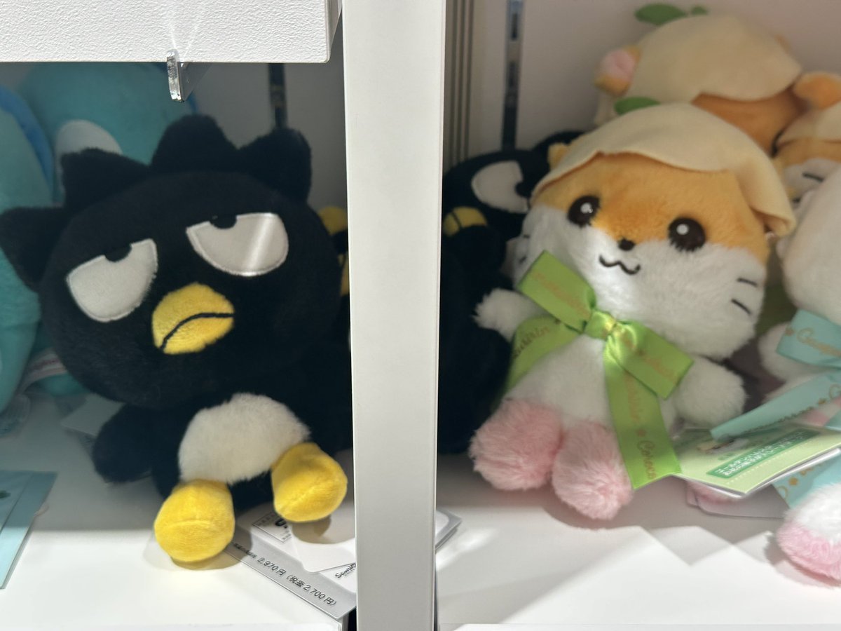 설 tweet media
