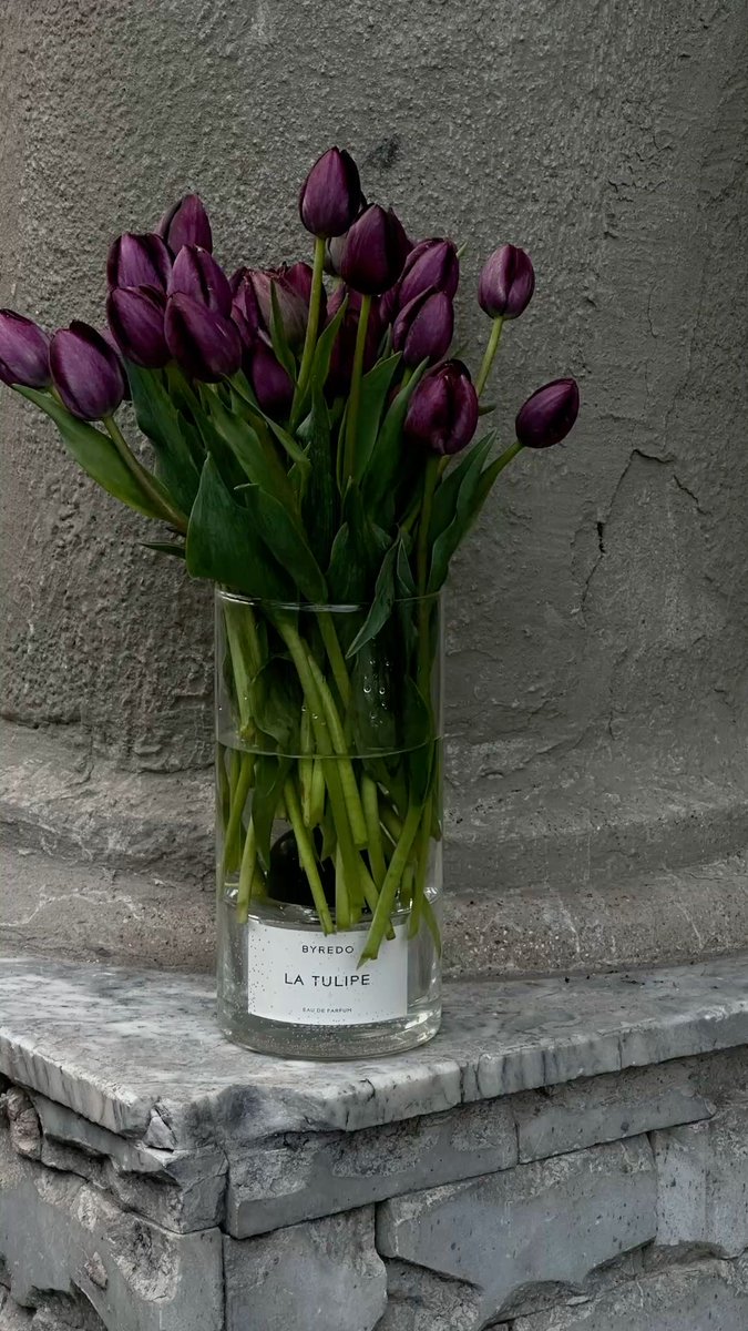 Tulips tweet media