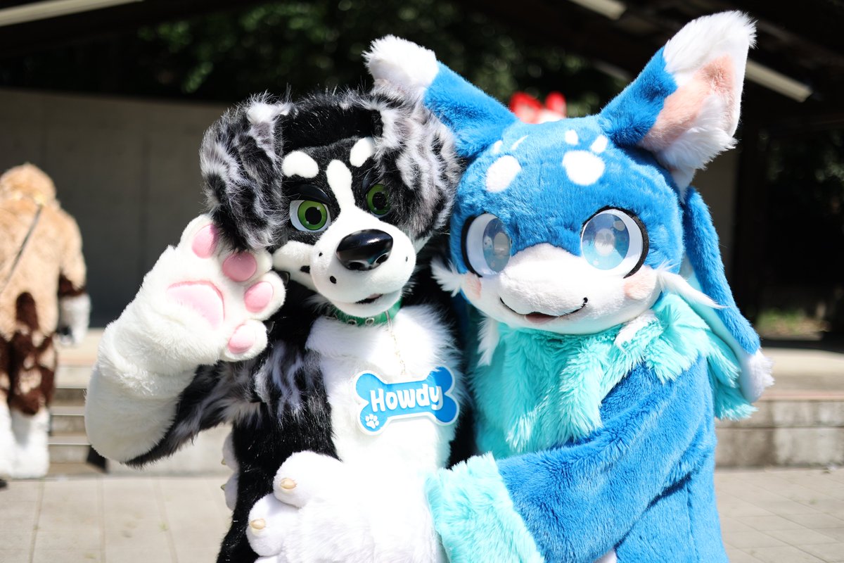 fuma_momose's tweet photo. ハウディーくんとハムネコさんとまるぱすくん📸
＃フレンズミート！ https://t.co/pwA4FXkwtn