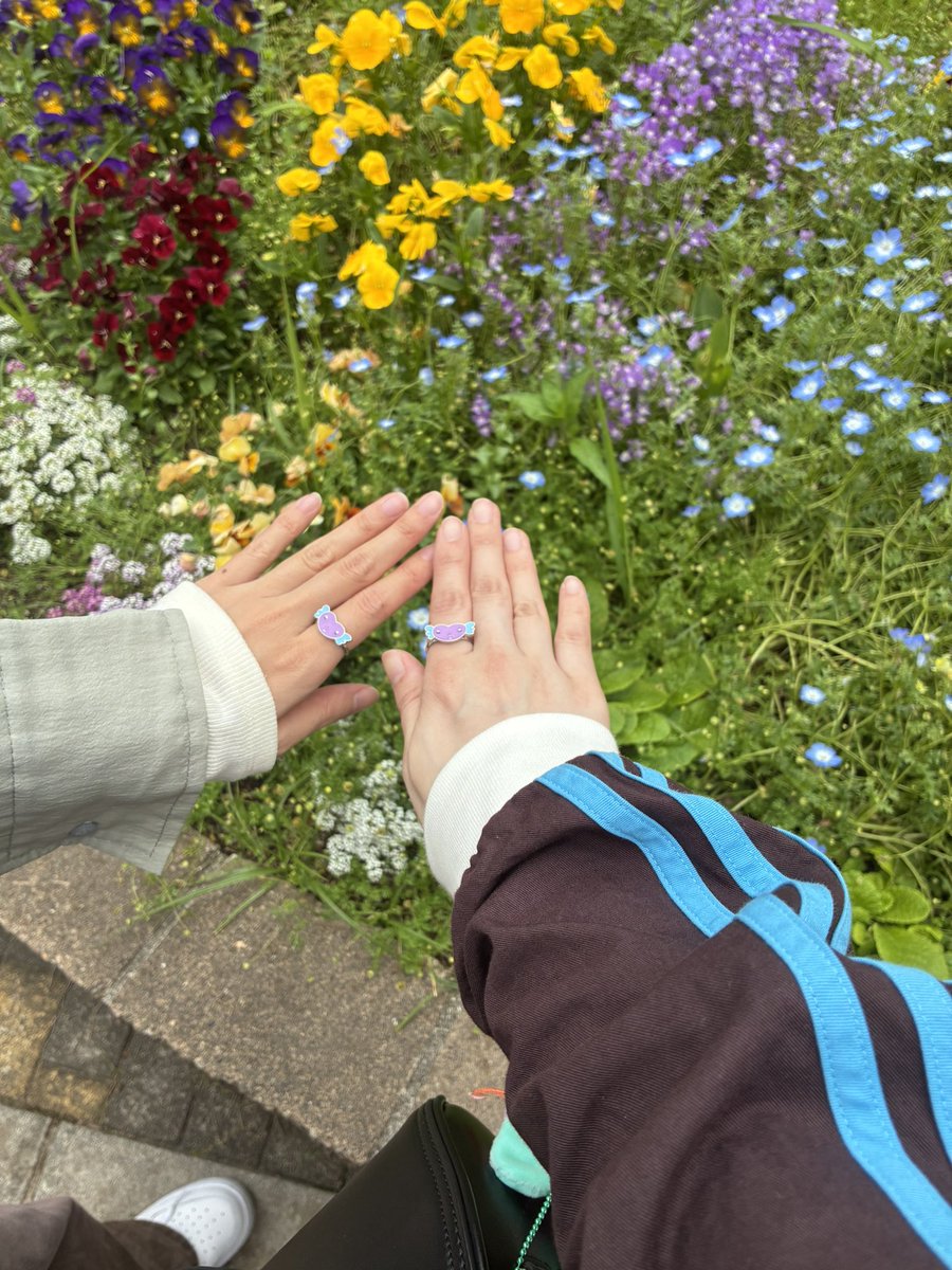 ふたたまのクレープ最高すぎた🤤
お花畑にビーベルちゃんが飛んでるみたいでかわいい🌼🪽