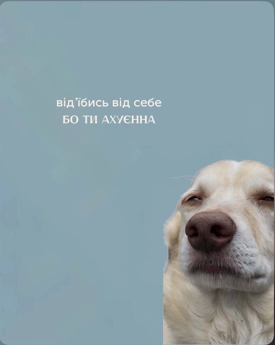 психоЛогічна tweet media