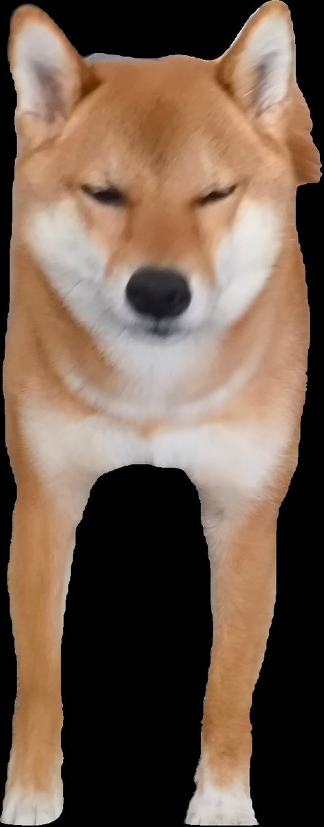 ぶる雄 様(太字) tweet media