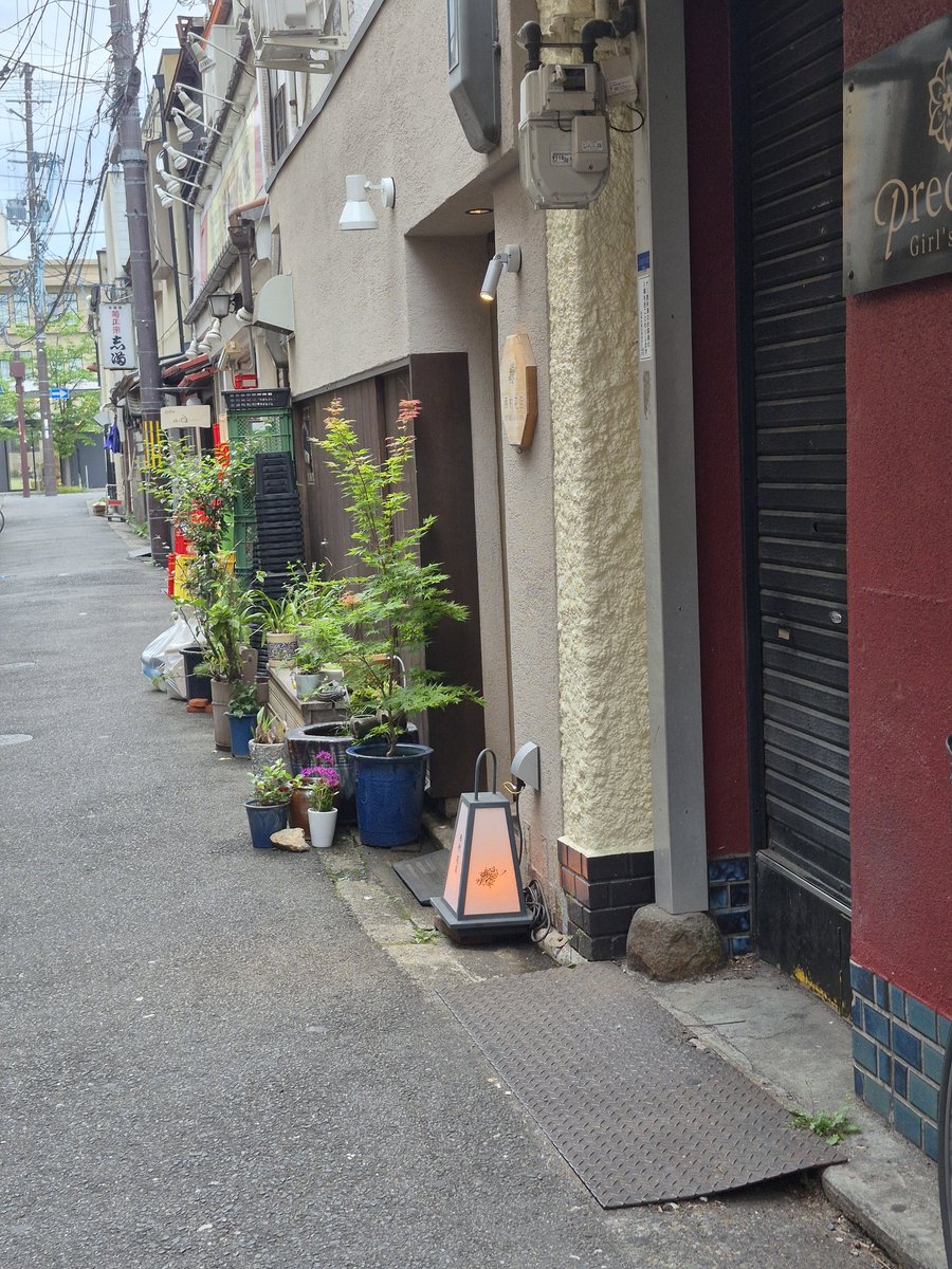 ぴよ🎏 tweet media