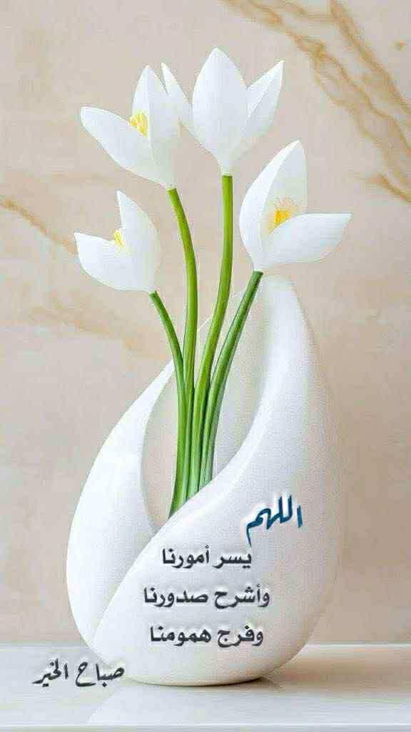 mohamadalwkil tweet media