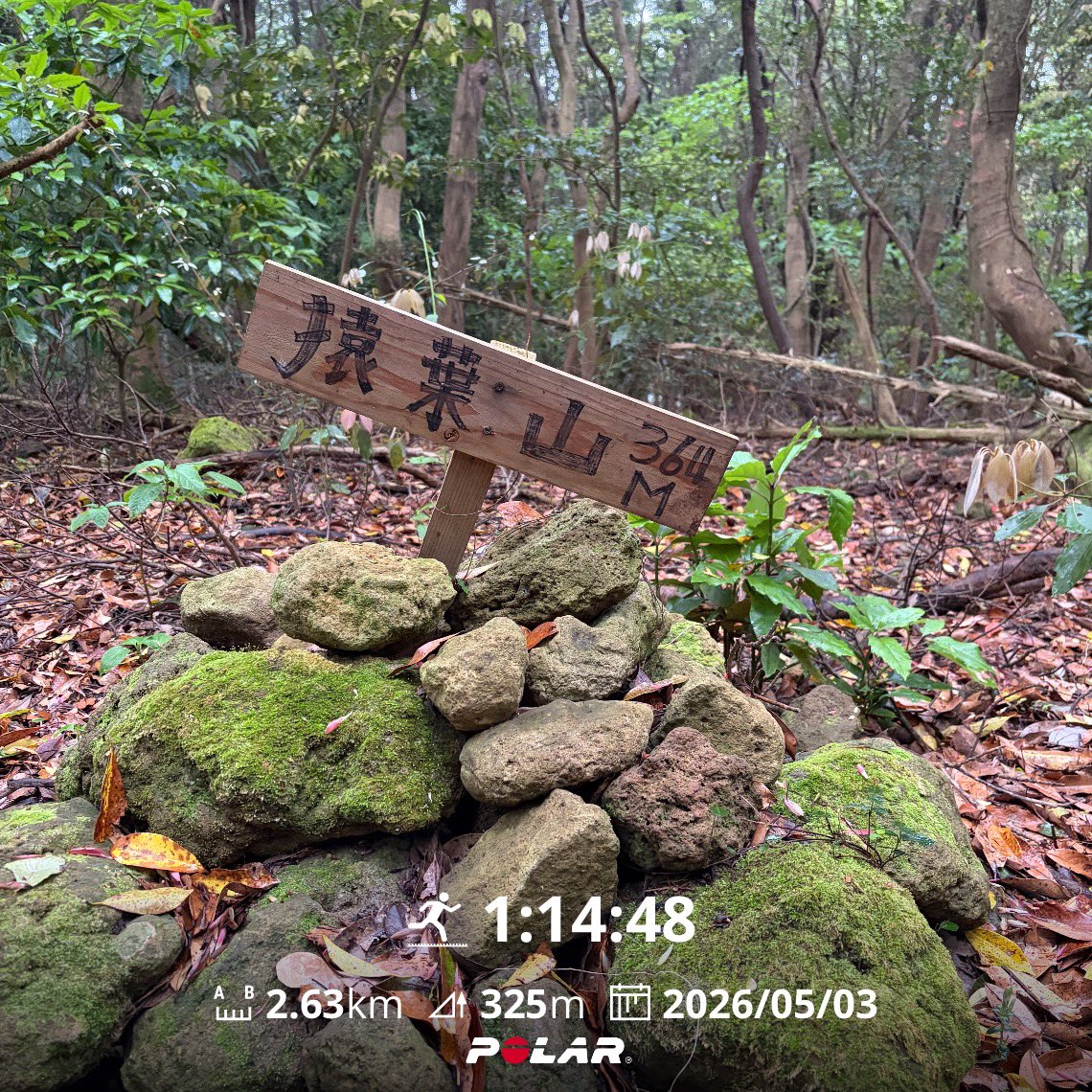 Silent Trail | 裏山行者 tweet media