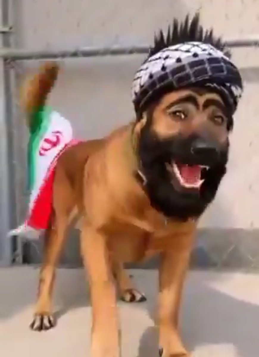 علي السلطاني🇸🇦🇰🇼 tweet media