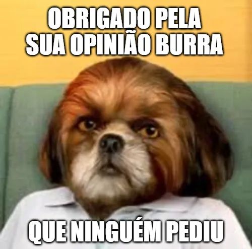 Pedro tweet media