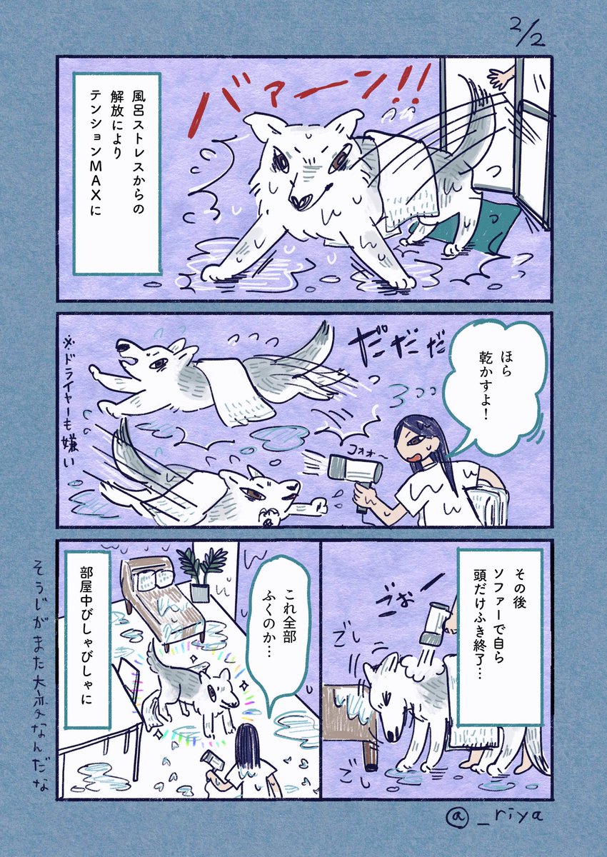 riya / 書籍「おおかみいぬのサン」3/31発売 tweet media