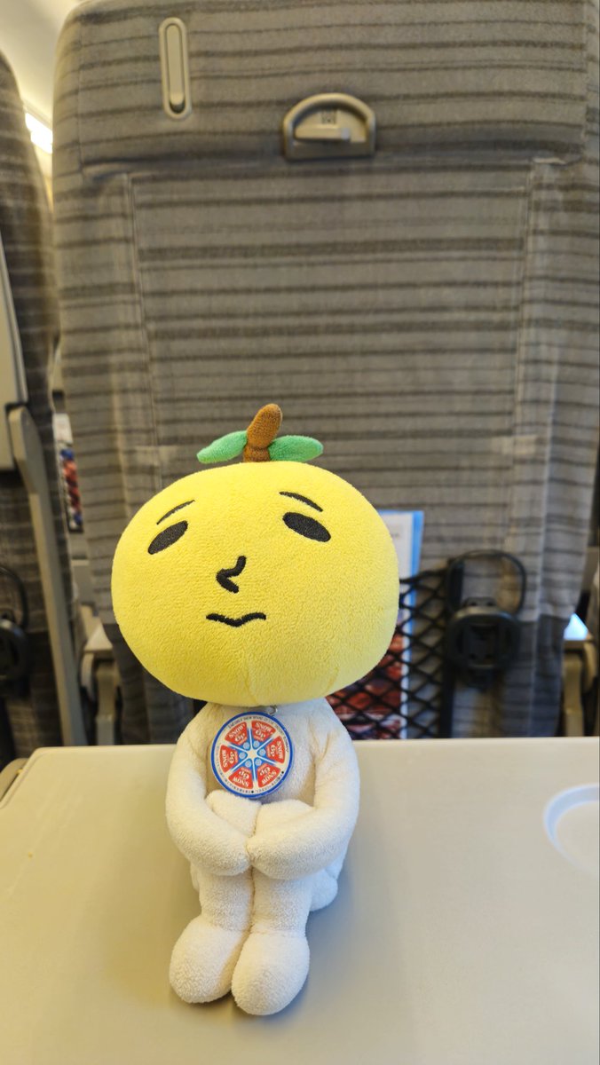 Julie(✿◠‿◠) ♡ 弾き語り宮城・長崎・福岡・横アリ tweet media