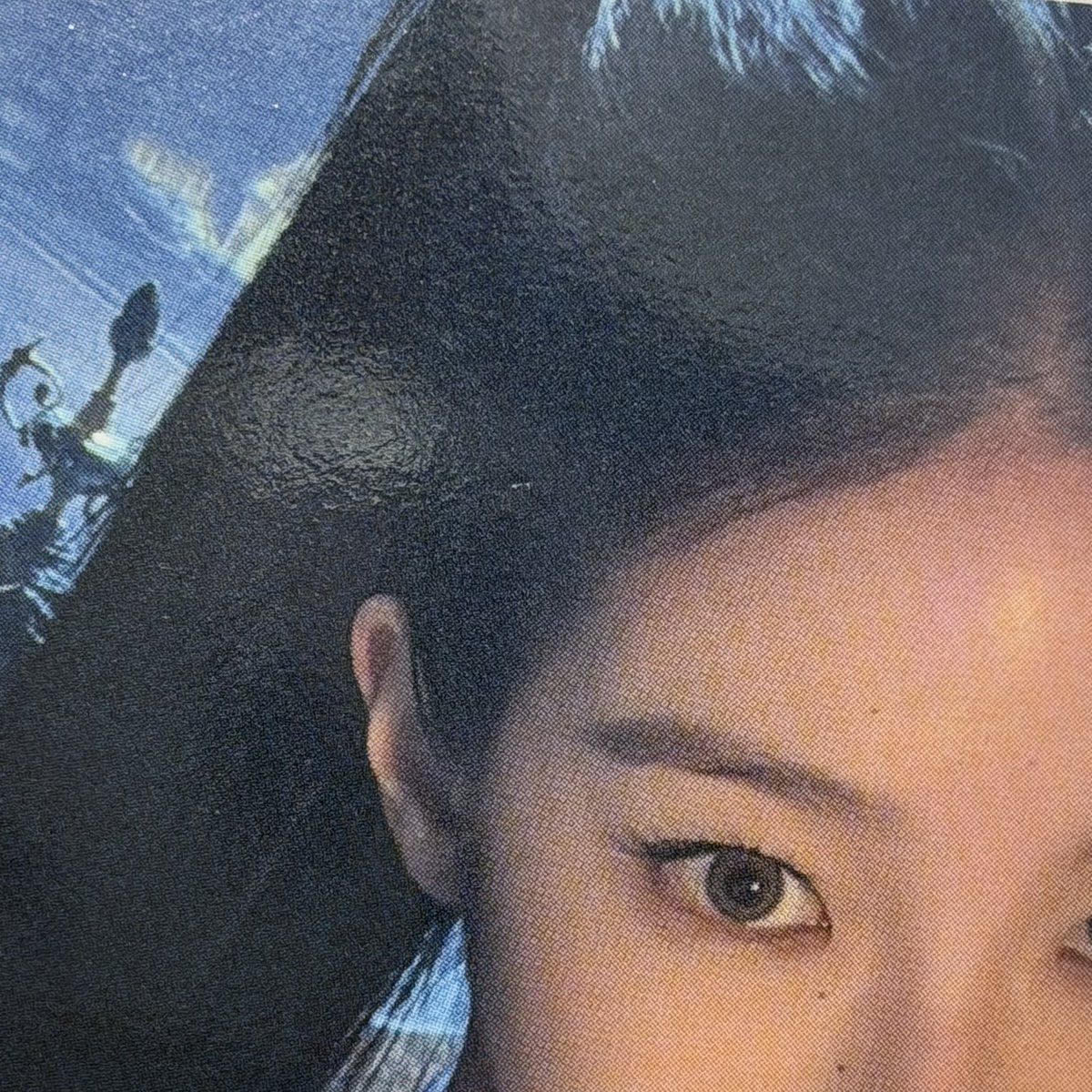 데이 tweet media