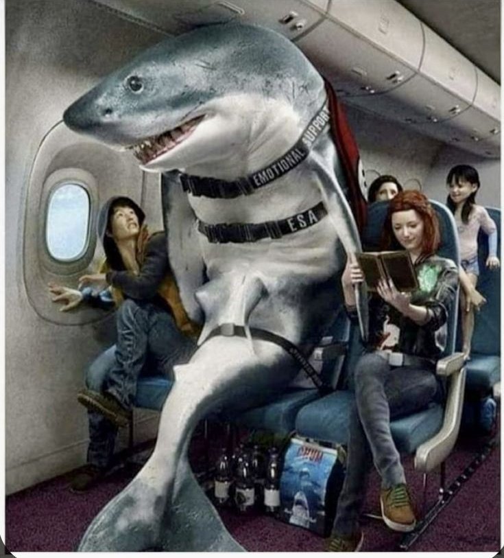 Shark tweet media