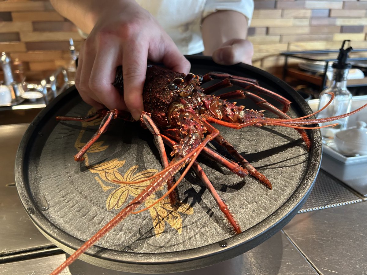 caring7888's tweet photo. 奥様への日頃の感謝と自分へのご褒美に、 #今泉 の #ステーキラウンジ煉 でランチ🥩
フォアグラ、活き鮑、伊勢海老に黒毛和牛のサーロインとシャトーブリアン…お腹いっぱいで大満足です🙏 https://t.co/Iq59zA8zFg