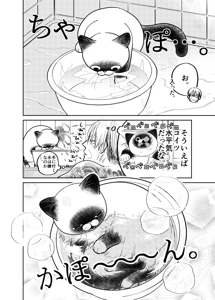 (2/4) 