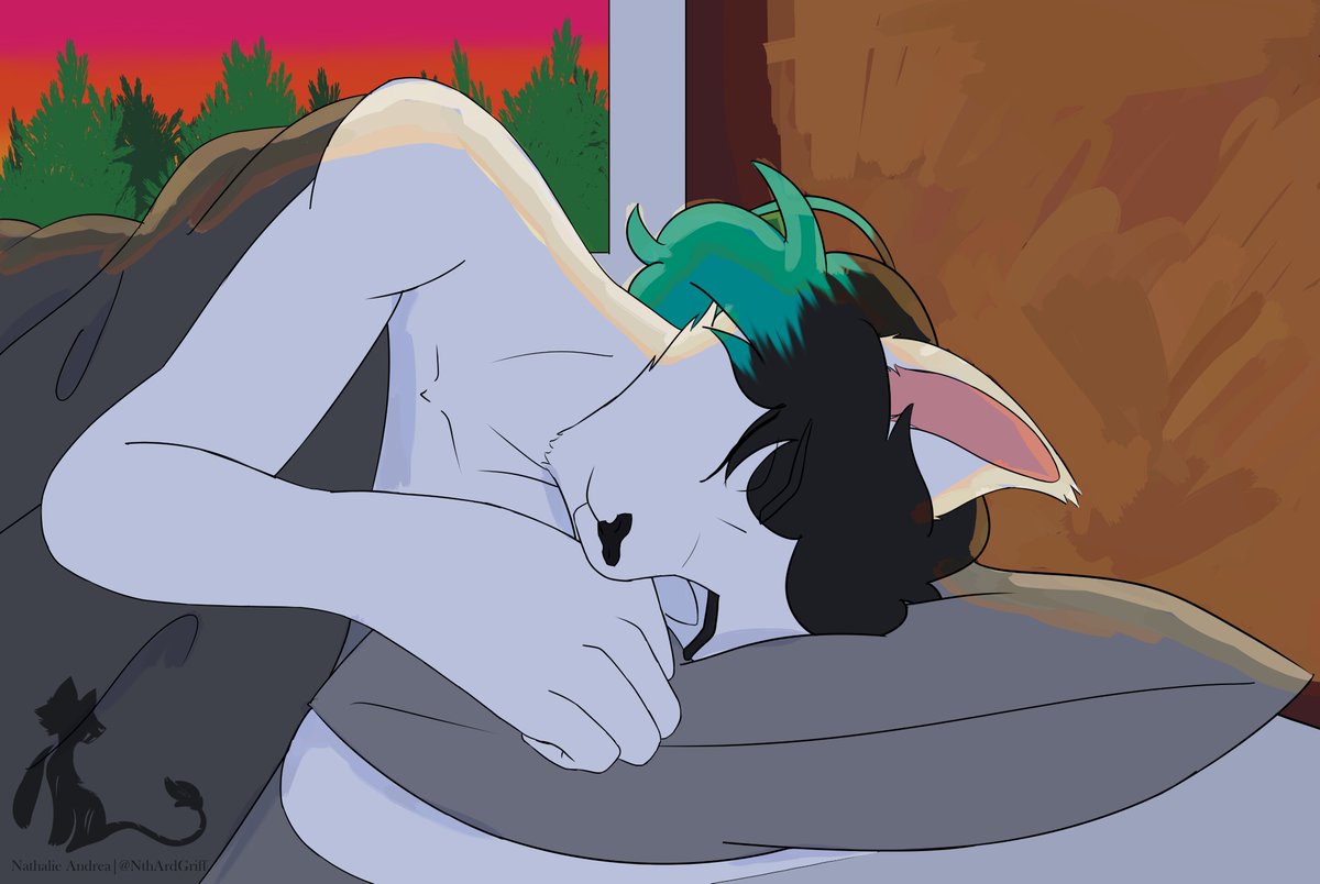 NthArdGriff's tweet photo. A sleeping cat is in your bed. Hope you enjoy it! https://t.co/tmsxKE5oUQ
