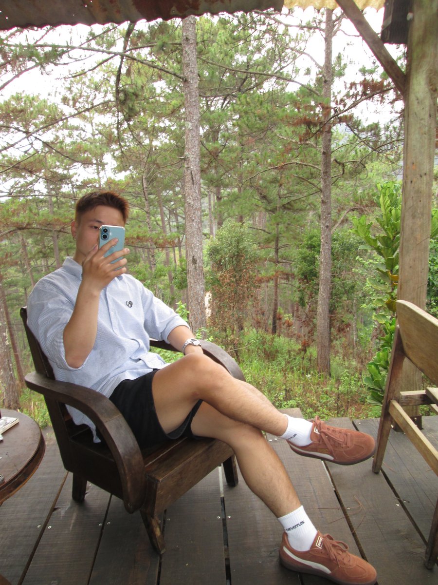 Nguyễn Sang tweet media