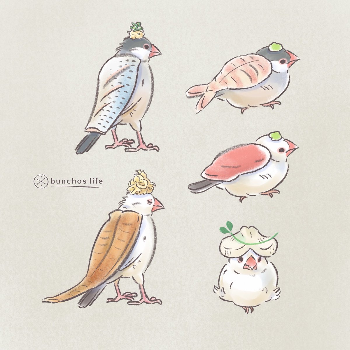 こむぎ🕊️ (@komugi_chan55) / Posts / X