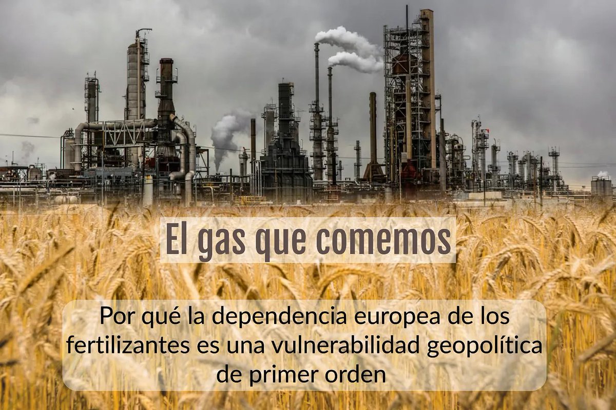 David González tweet media