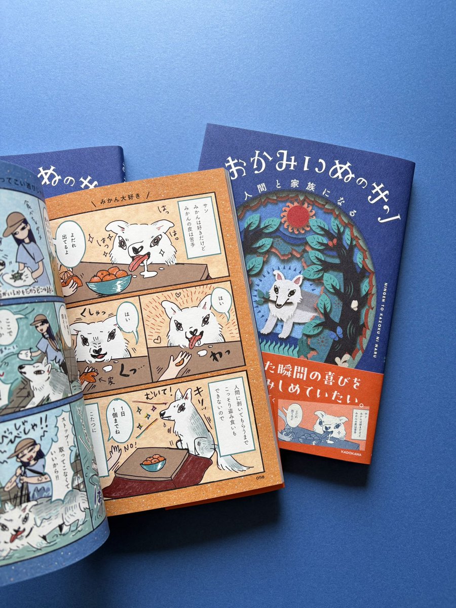 riya / 書籍「おおかみいぬのサン」3/31発売 tweet media