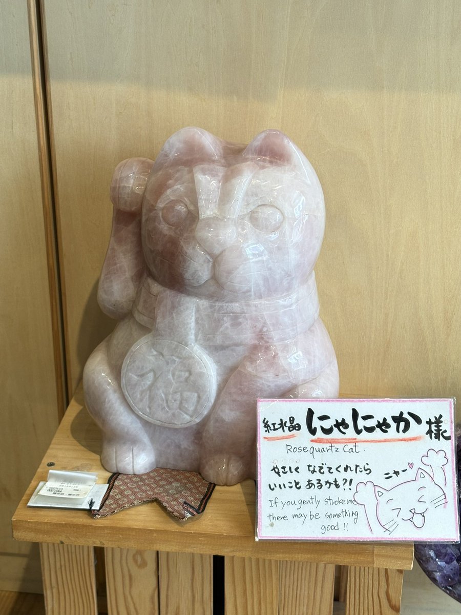 あやめ tweet media