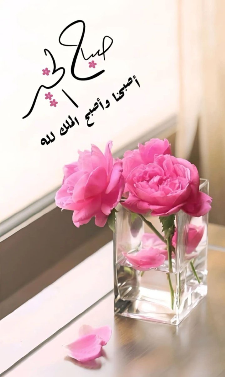 ayman ahmead tweet media