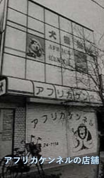 ヒストロジー｜歴史解剖学 tweet media
