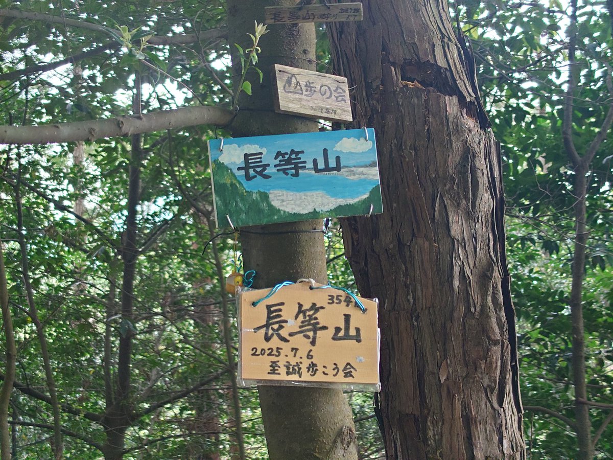 山の翁 tweet media
