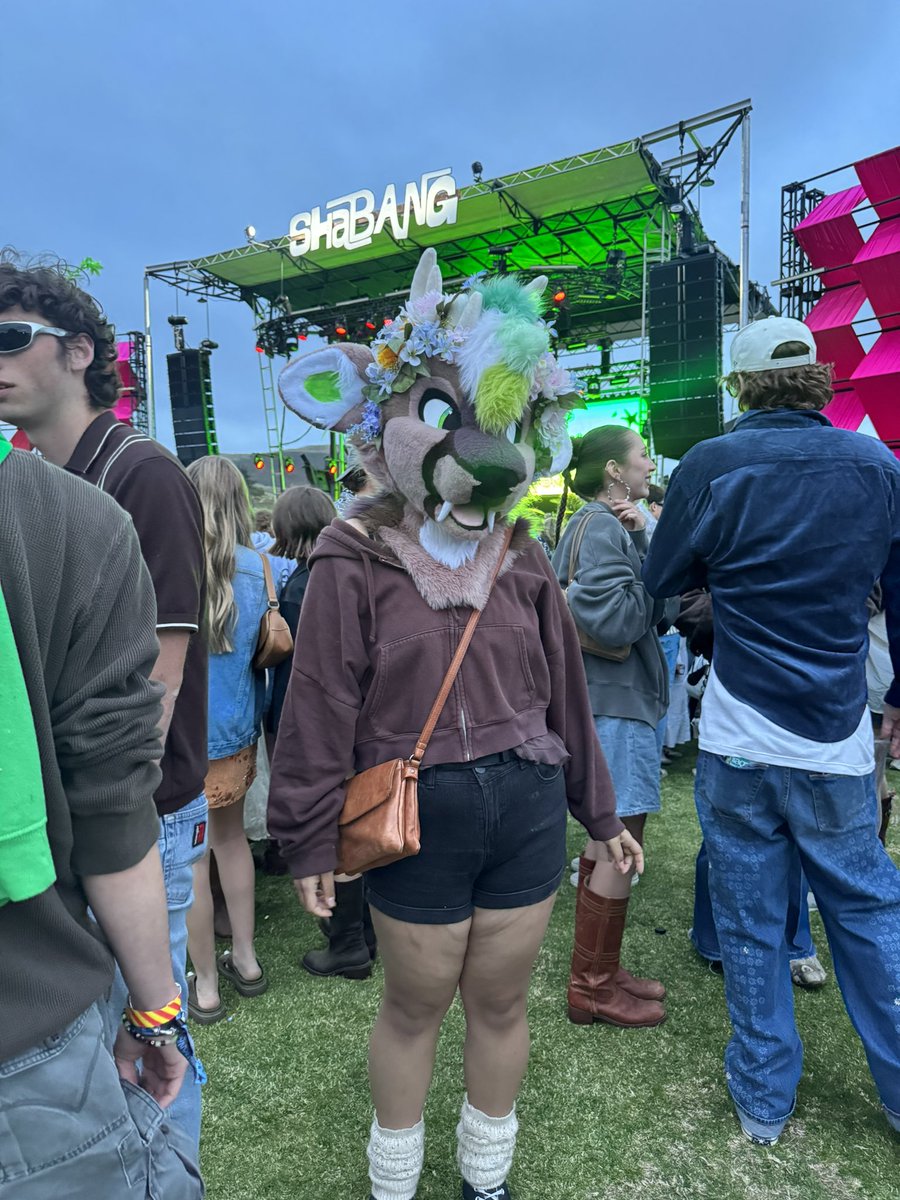 zulples 🦌 tweet media