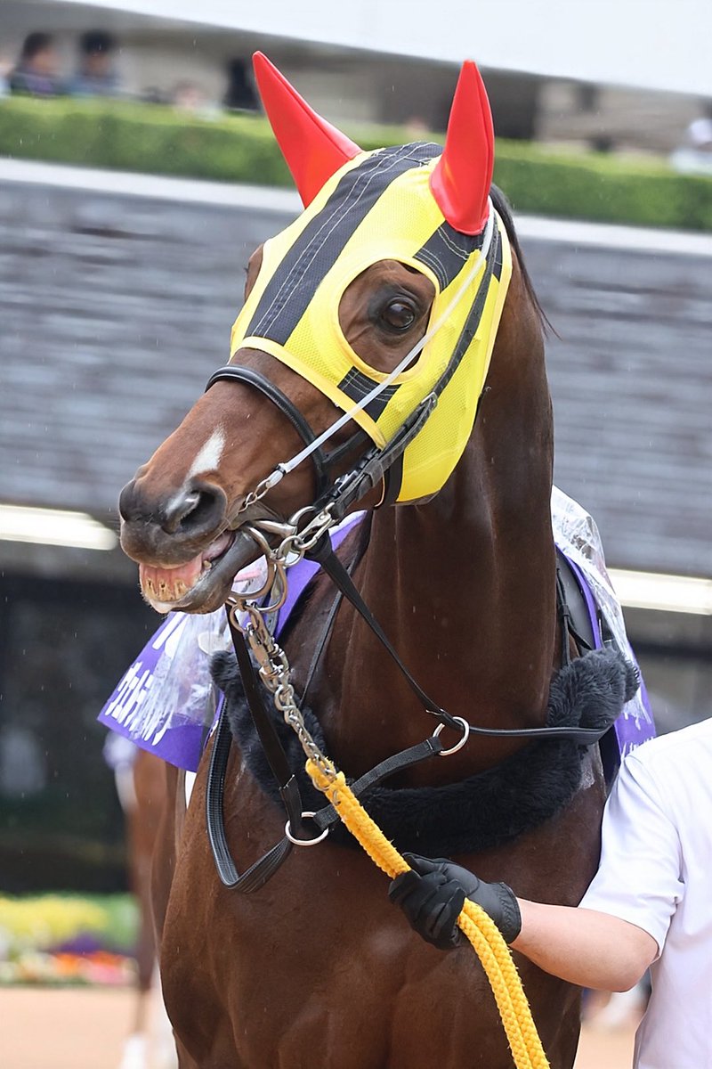 なぎた🐴 tweet media