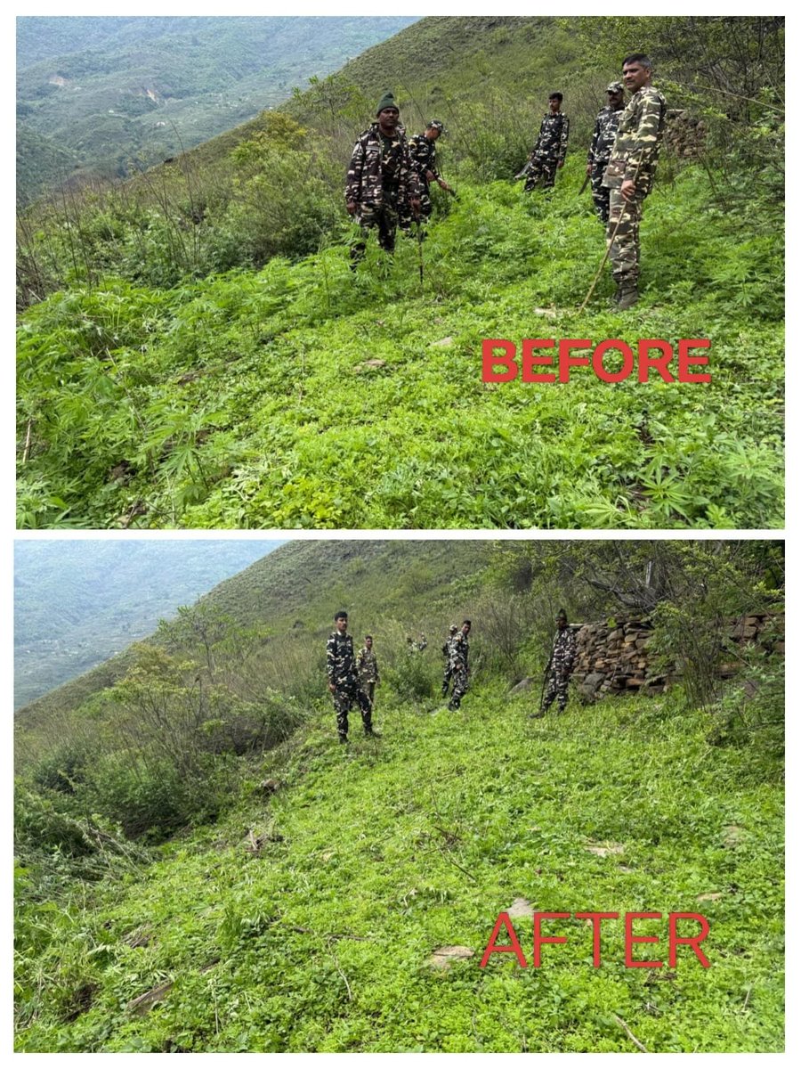 67 BN SSB LUNGLA tweet media