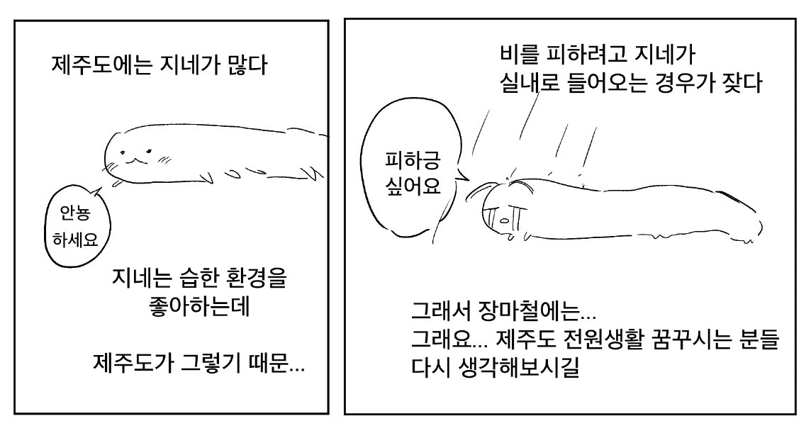 킨붕이 tweet media