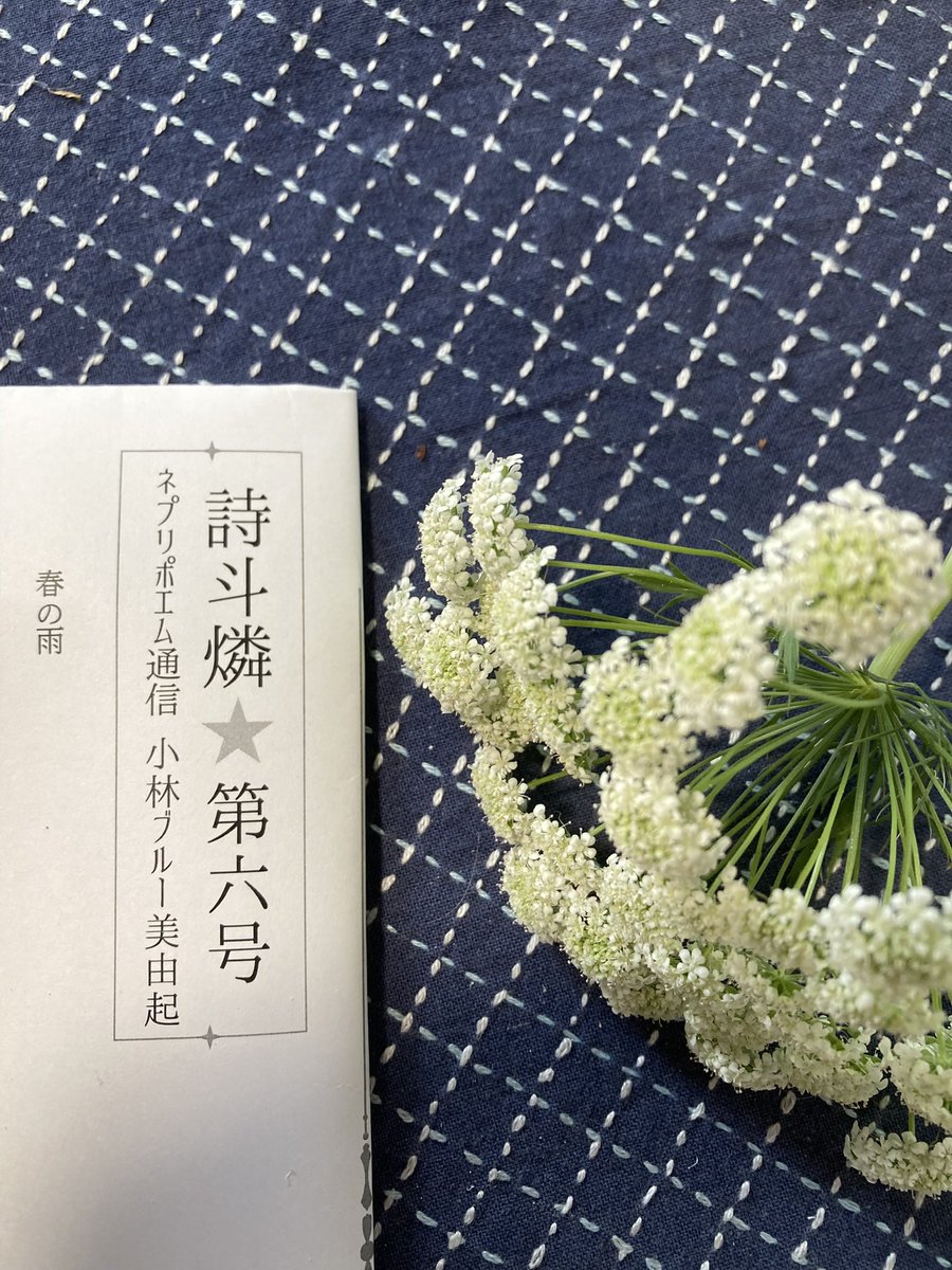 千春 tweet media