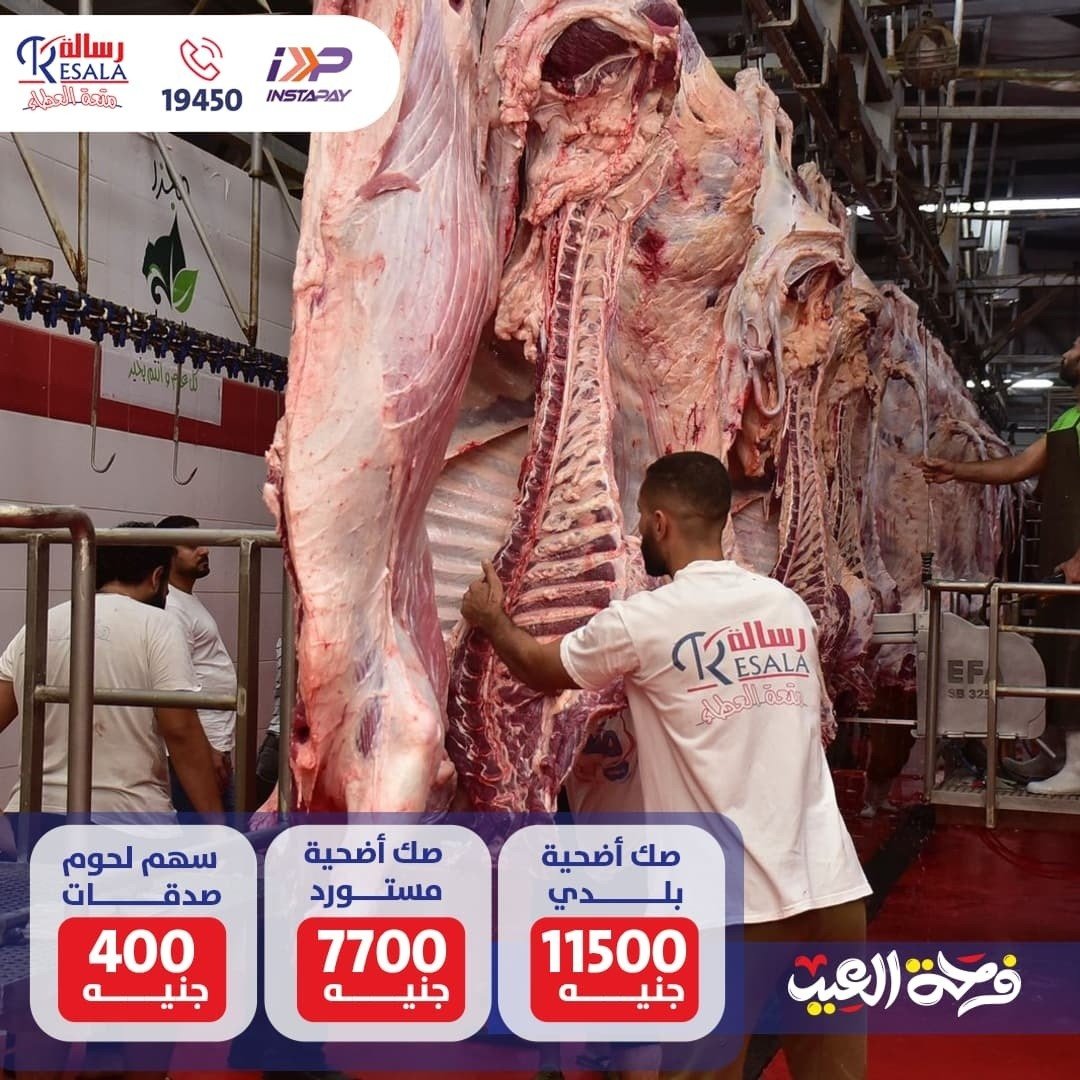 Resalaeg's tweet photo. أضحيتك خير بيفرح كل محتاج
الصك المستورد 7700 جنيه 
الصك البلدى 11500 جنيه
سهم الصدقات 400 جنيه
للتبرع: 
- اتصل على: 19450
- من خلال موقعنا: https://t.co/QDu1wqLWnT
- تقدر تتبرع دلوقتي عبر إنستا باي، فودافون كاش، أو فوري.
- جميع المحافظ الإلكترونية 
- جميع البنوك المصرية https://t.co/ihBGUoYGRE