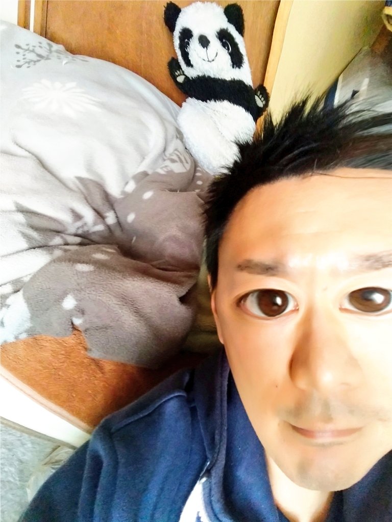 チョロすけ🦎 tweet media
