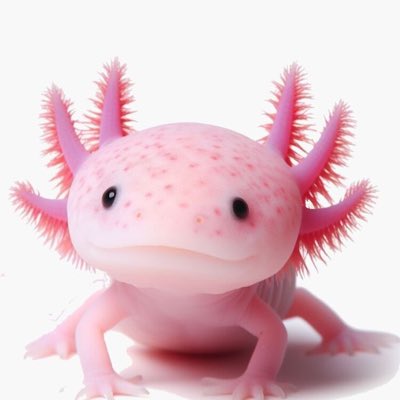 Axollotl tweet media