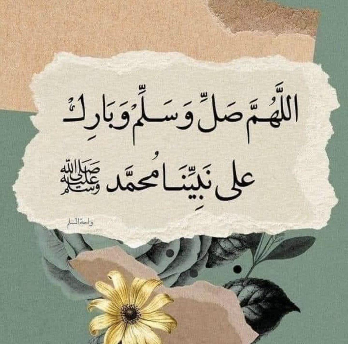 Ahmed Ahmed tweet media