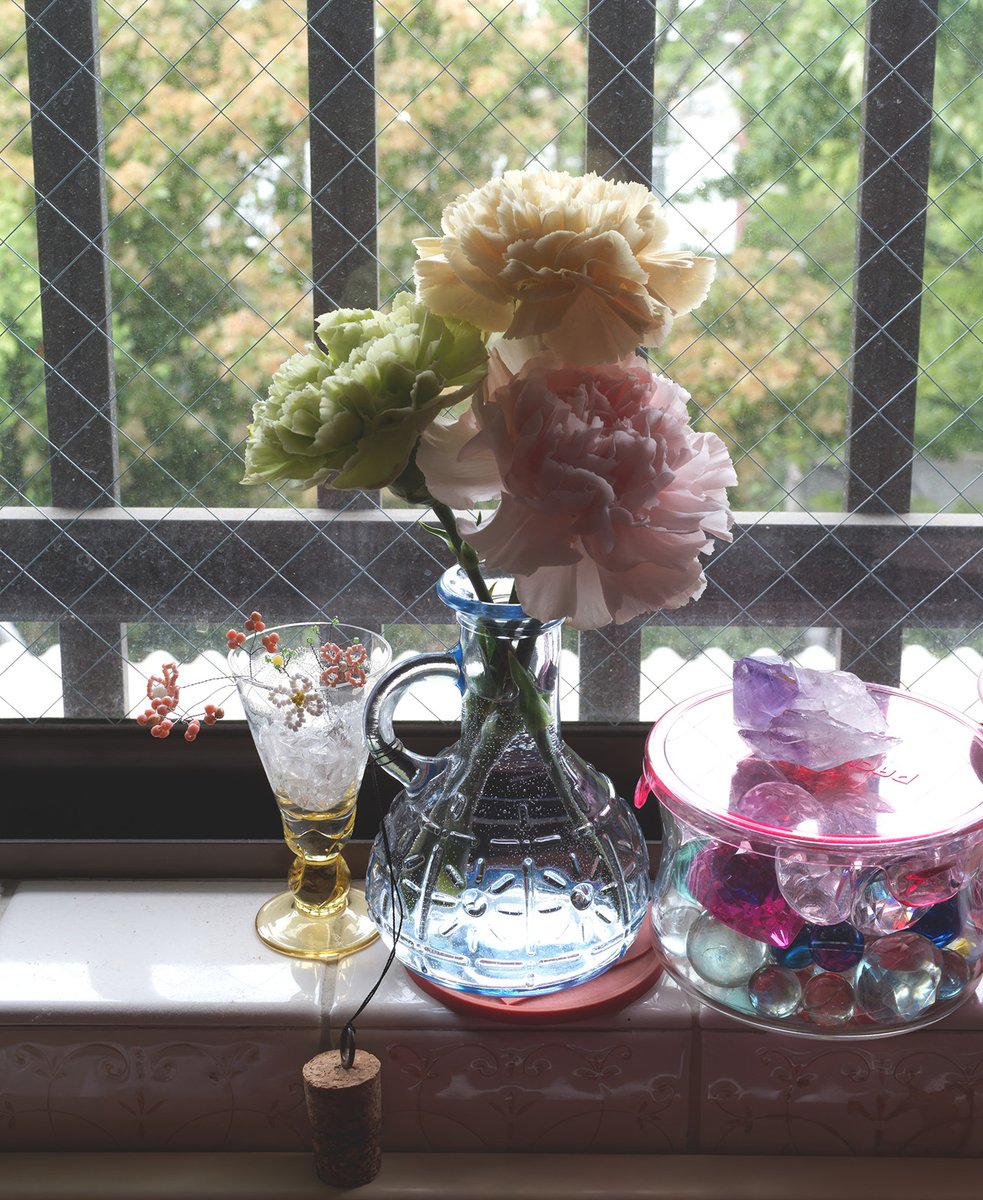 VOTOMS_SCOPEDOG's tweet photo. 病院に花を持って行ったが花粉がどうとかで置くのはダメだったので、見てもらって持って帰ってきた。キレイで結構丈夫だ流石一輪３００円するだけある。 https://t.co/xqDQeK69m8