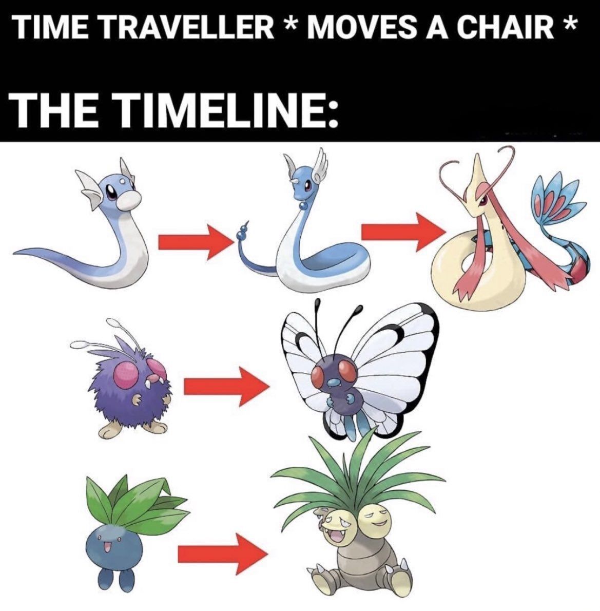 Pokémon Daily tweet media