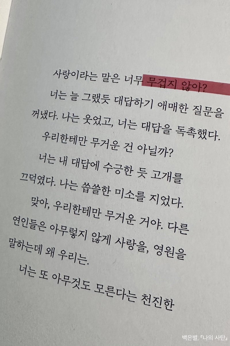 조막 tweet media