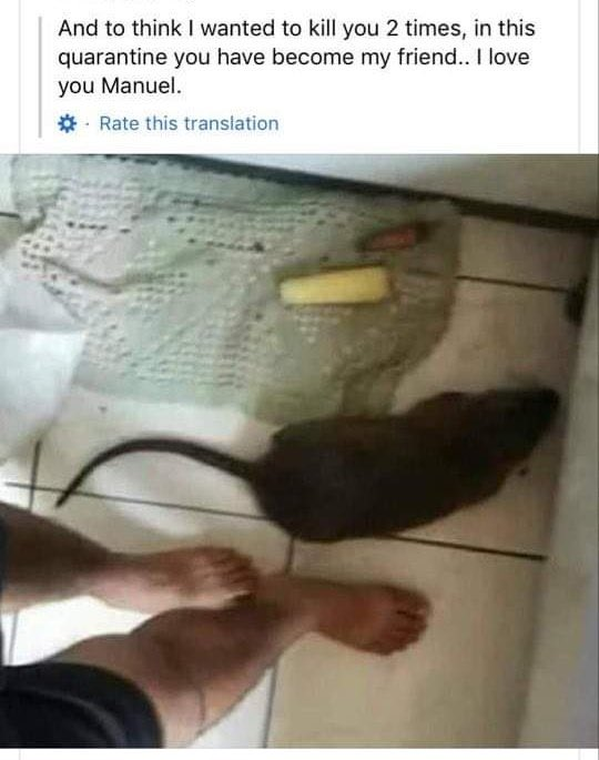 Trap tweet media