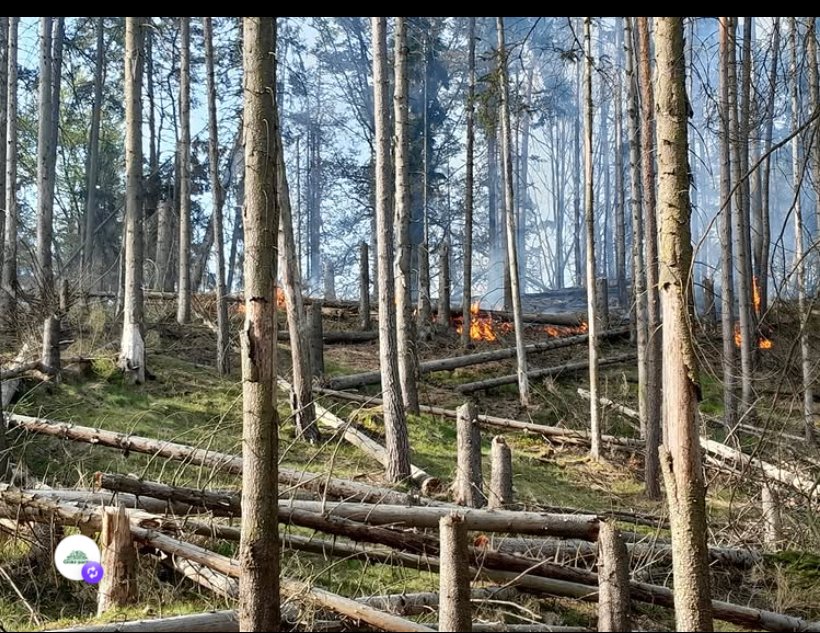 ceskeparky's tweet image. Buďte opatrní!

Tisková zpráva NP České Švýcarsko: 🔥

npcs.cz/mezi-rynartice…

#požár #ceskesvycarsko