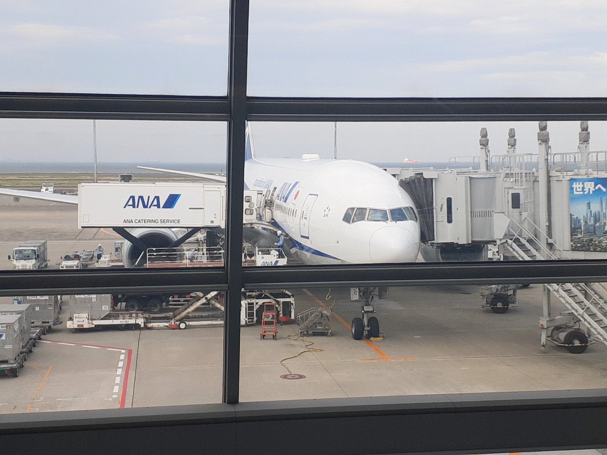 sgate46's tweet photo. さらばTOKYO🛫

身体中で浴びれた。
心地よい疲労感。
しっかり休みましょ。

昨年公演、エンドでのメッセージ。
"陽が昇り、また陽が没ちる。
この風景が明日もあるように、、、
またあなたと出会えることを願います。"

出会えましたね。

次も、また出会えますよね。

#TMNETWORK
#FANKS
#QUANTUM https://t.co/Tl4wo6F9Vy
