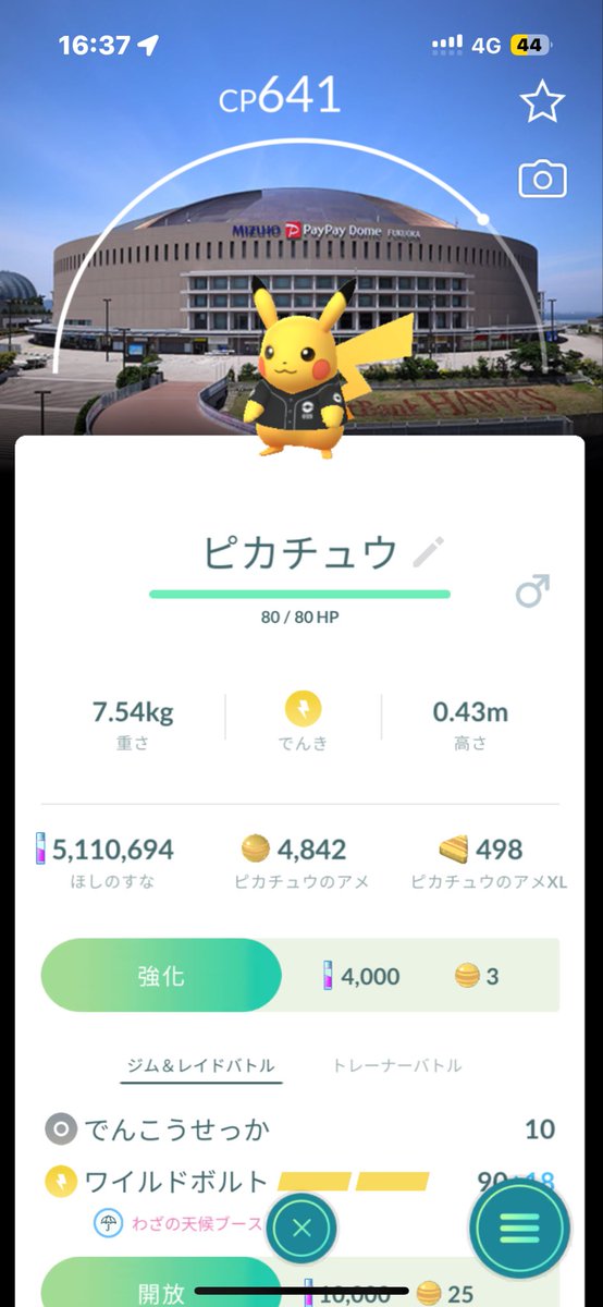 たま tweet media