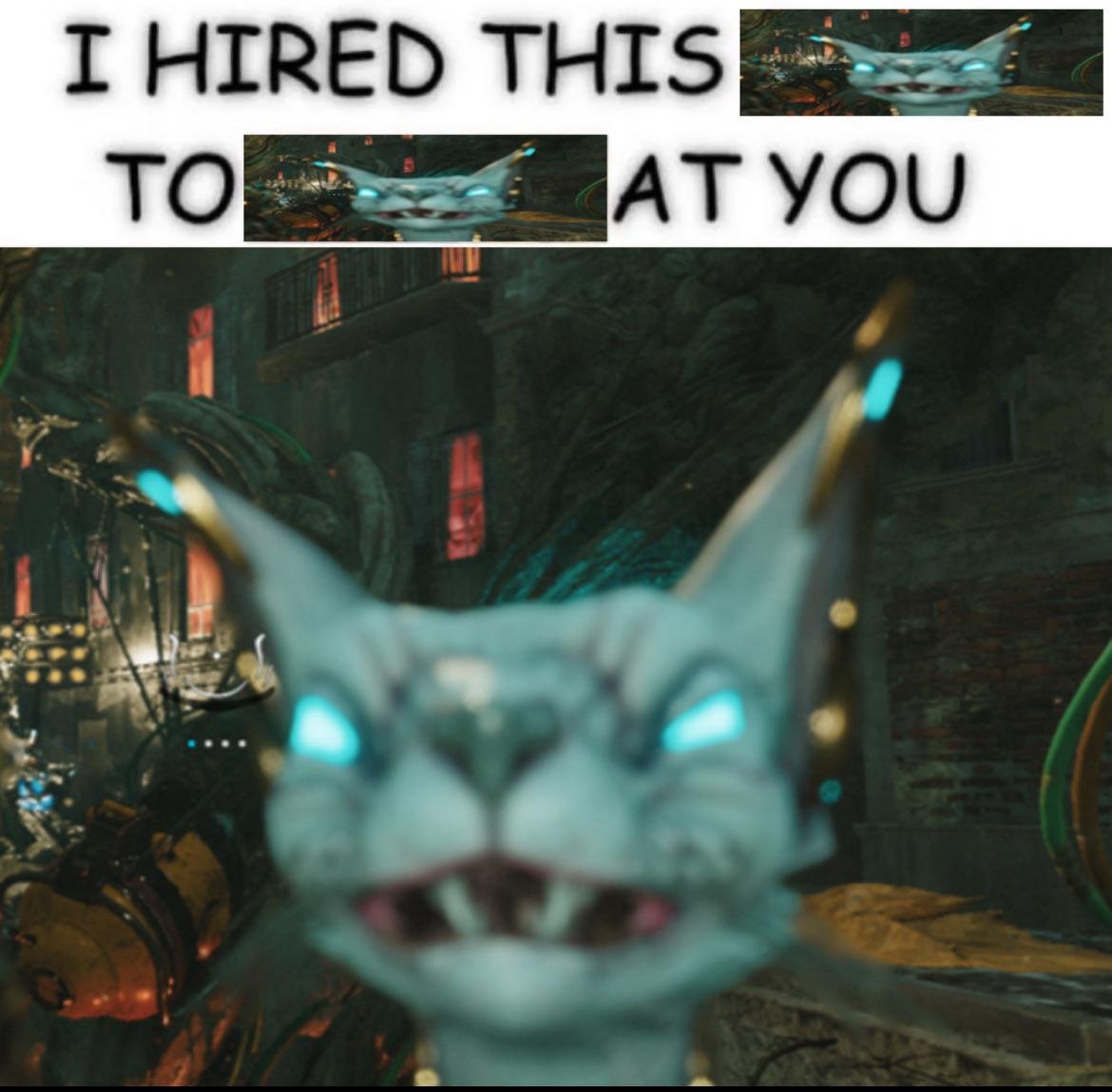 :DDDDDD tweet media