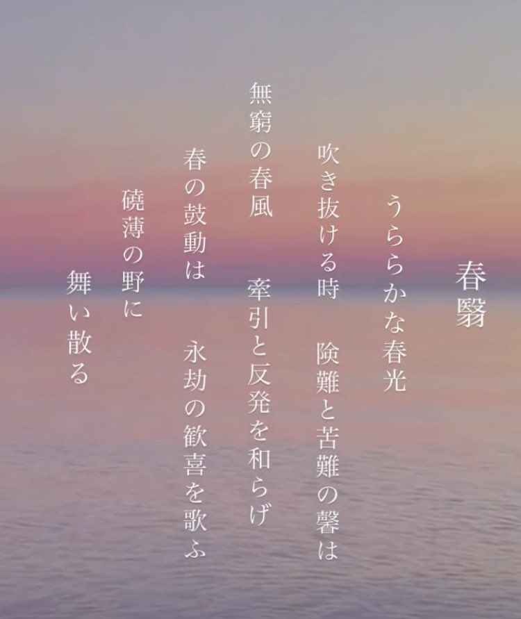 或る読書家 tweet media
